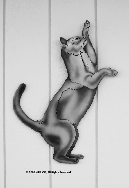 WEBCAT JPEGs X-LARGE/C-0_WebCat_XL_Sebastian_PATINA_3863.jpg
